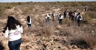 Colectivos de bsqueda