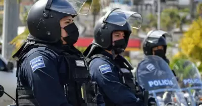 Elementos policiales