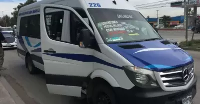 Calafia Azul y Blanco