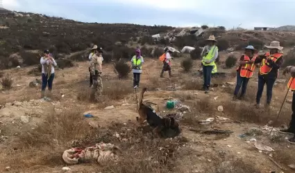 Fosas clandestinas