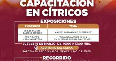 Manejo Agronmico en Ctricos