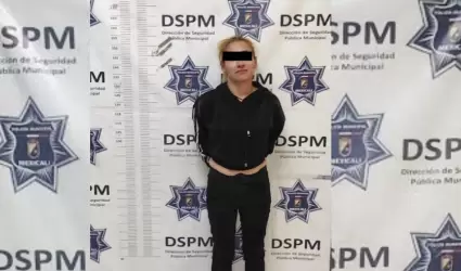 Mujer detenida por presunto robo