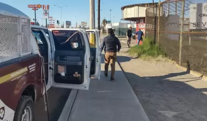 Canino en situacin de maltrato