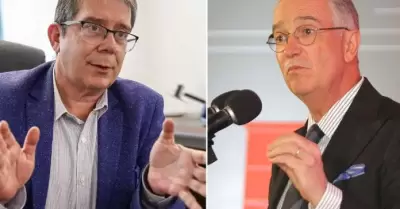 Ricardo Salinas y Villamil