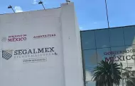 "Nos doli mucho este fraude": AMLO sobre caso Segalmex; justifica a Ignacio Ovalle