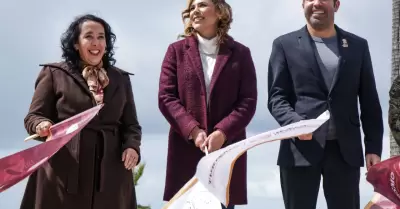 Araceli Brown, Marina del Pilar �vila y Armando Ayala