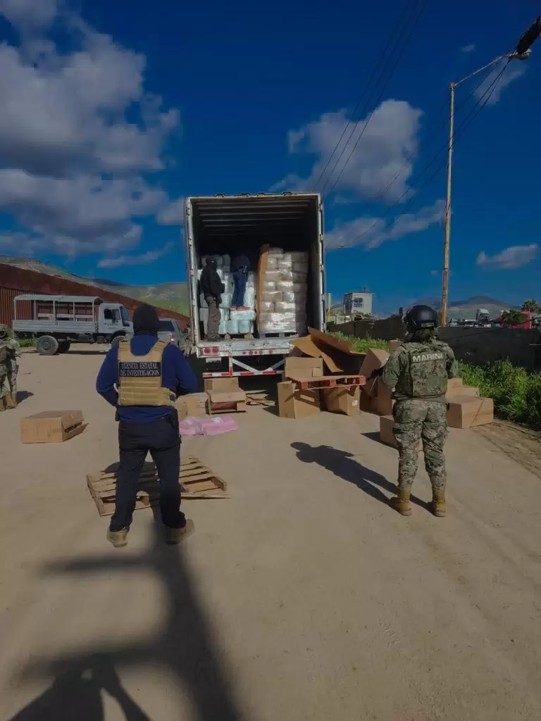 Toneladas de droga incautada