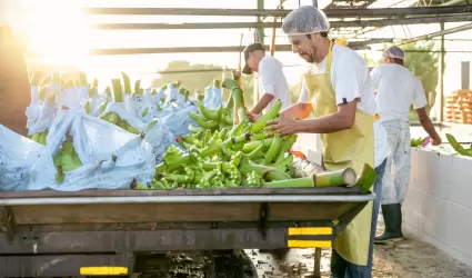 Mexicanos laborando en Estados Unidos