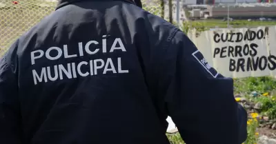 Resguardan a 24 perros por ataque a joven