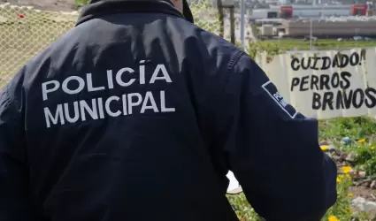 Resguardan a 24 perros por ataque a joven