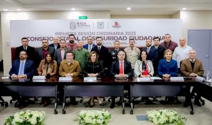 Consejo Estatal de Seguridad Ciudadana