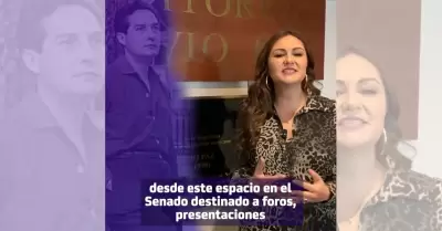 Geovanna Bauelos de la Torre
Senadora de la Repblica Mexicana