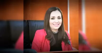 Diputada Amintha Brice�o