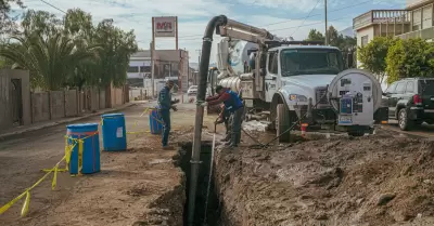CESPTE guardias operativas durante puente vacacional