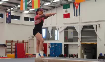 INDE BC control t�cnico de gimnasia art�stica