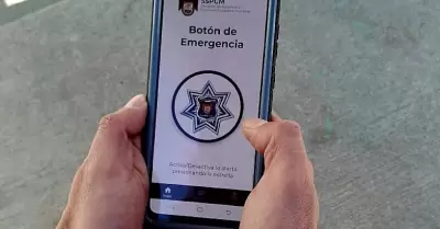 Botn de emergencia