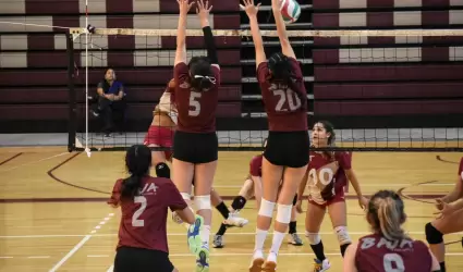 vleibol de sala