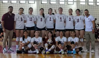 Equipo de voleibol