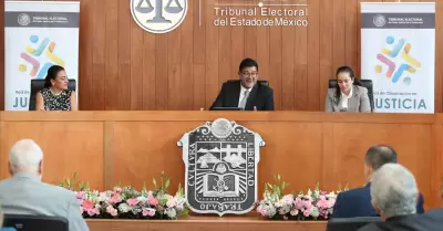 Seminario de metodologias para la observacion en justicia electoral