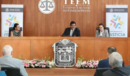 Seminario de metodologias para la observacion en justicia electoral