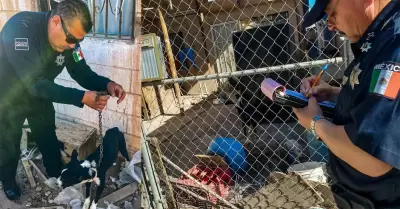 DSPM rescata a perro