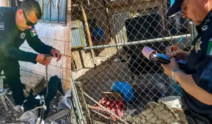 DSPM rescata a perro