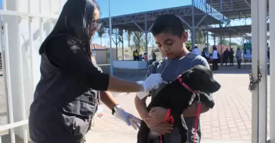 Prevencin contra la Rickettsia y Dengue en TJ y Tecate