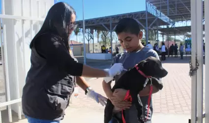 Prevencin contra la Rickettsia y Dengue en TJ y Tecate