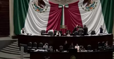 Cmara de Diputados aprob dictamen en materia de edad mnima para ocupar un car