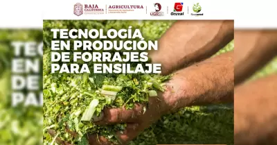 Capacitaci�n