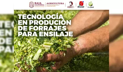 Capacitaci�n