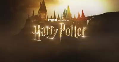 Harry Potter tendr una serie de siete temporadas.