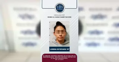 Mujer por robo a casa habitaci�n