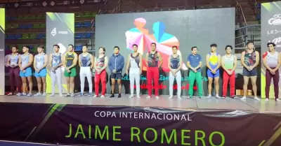 Gimnasia artstica de Mxico