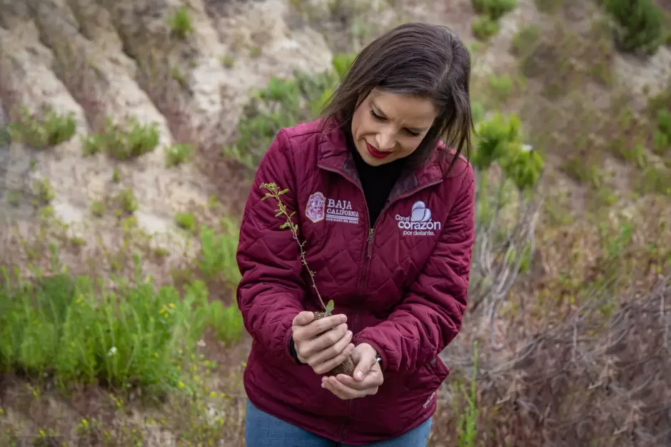 Reforestacin en parque Esperanto