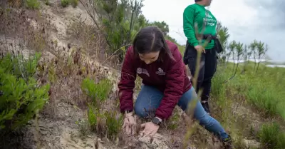 Reforestacin en parque Esperanto