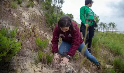 Reforestacin en parque Esperanto