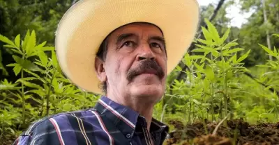 Vicente Fox, expresidente de M�xico