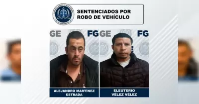 Sentencias por robo de vehculo