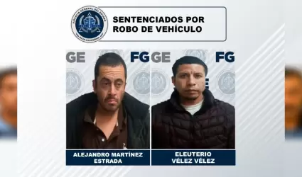 Sentencias por robo de vehculo