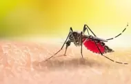 El condado fumigar el rea de Rolando contra mosquitos para reducir el riesgo del virus del Nilo Occidental