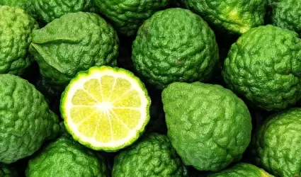 La bergamota es un fruto de la familia de los c�tricos