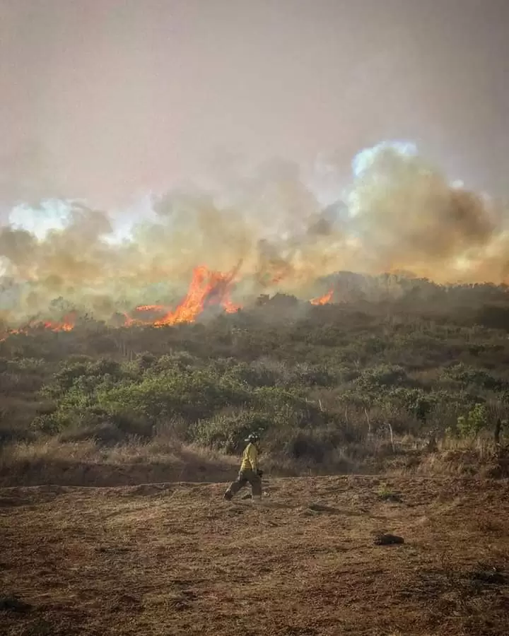 Incendios forestales