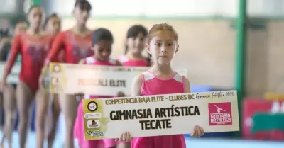 Gimnasia artstica