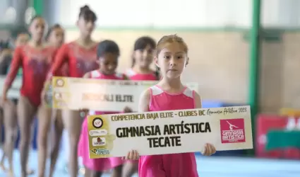 Gimnasia artstica