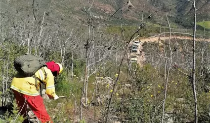 Incendio forestal