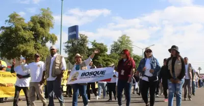 Trabajadores de Baja California