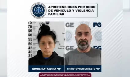 Detenidos robo de vehculo y violencia familiar