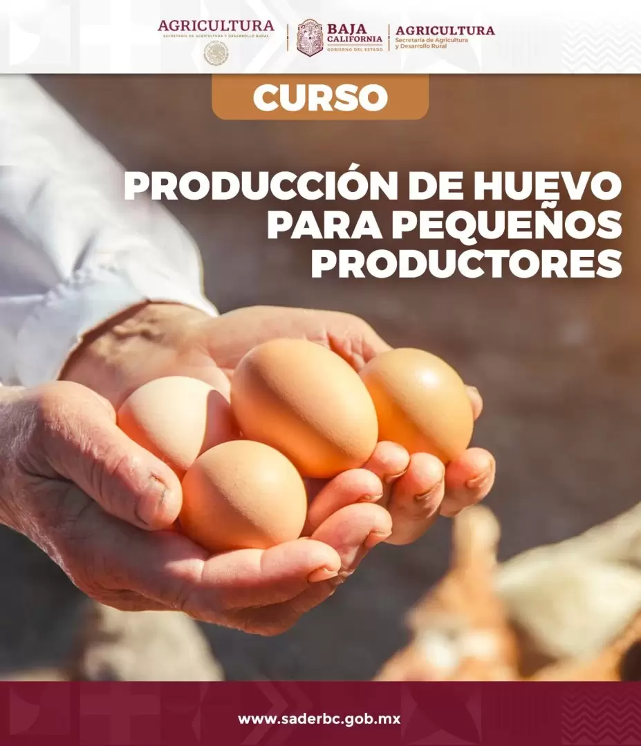 Capacitacin a productores de huevo