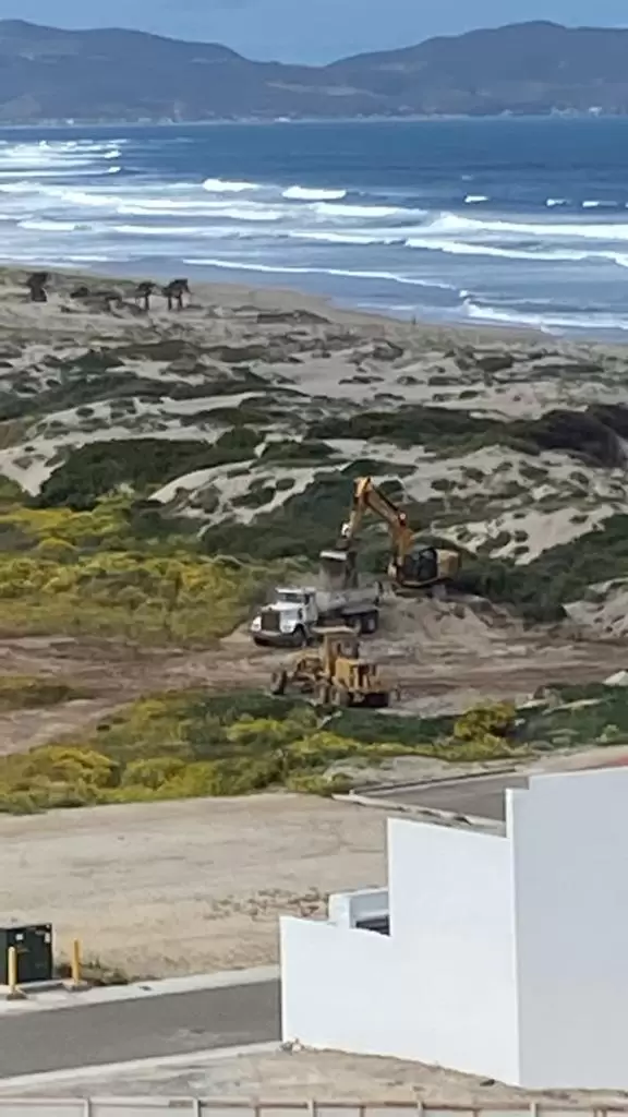 Suspenden trabajo ilegal en dunas de Playa Pacifica